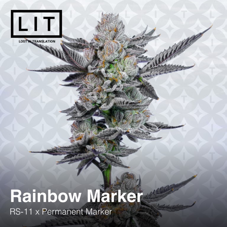 Rainbow Marker - Image 11