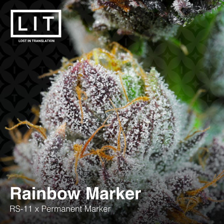 Rainbow Marker - Image 6