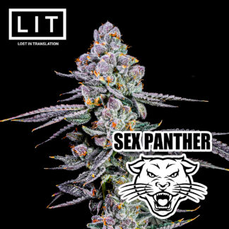 Sex Panther