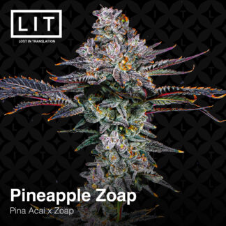 Pineapple Zoap