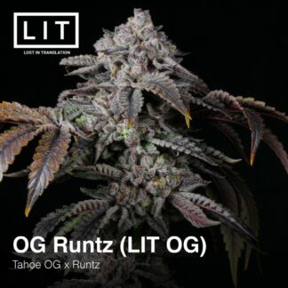 OG Runtz (LIT OG)