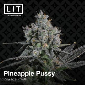 Pineapple Pussy