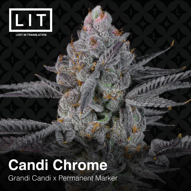 Candi Chrome - Image 3