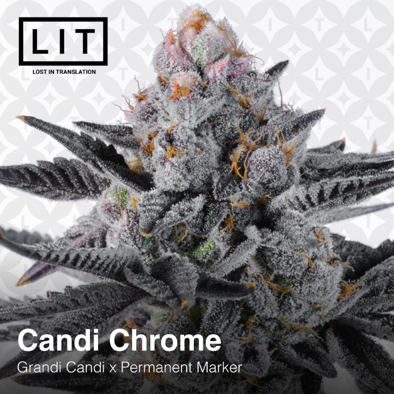 Candi Chrome - Image 9