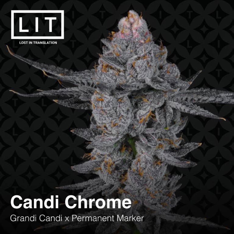 Candi Chrome - Image 4