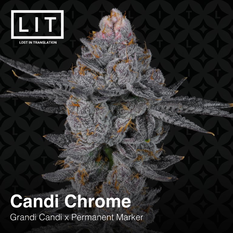 Candi Chrome - Image 10