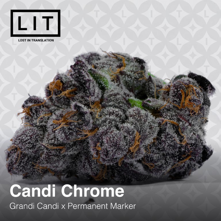 Candi Chrome - Image 5