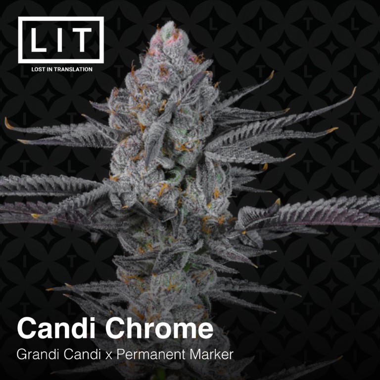 Candi Chrome