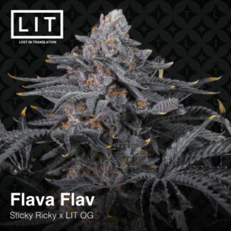 Flava Flav