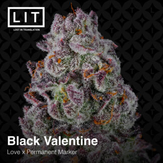 Black Valentine