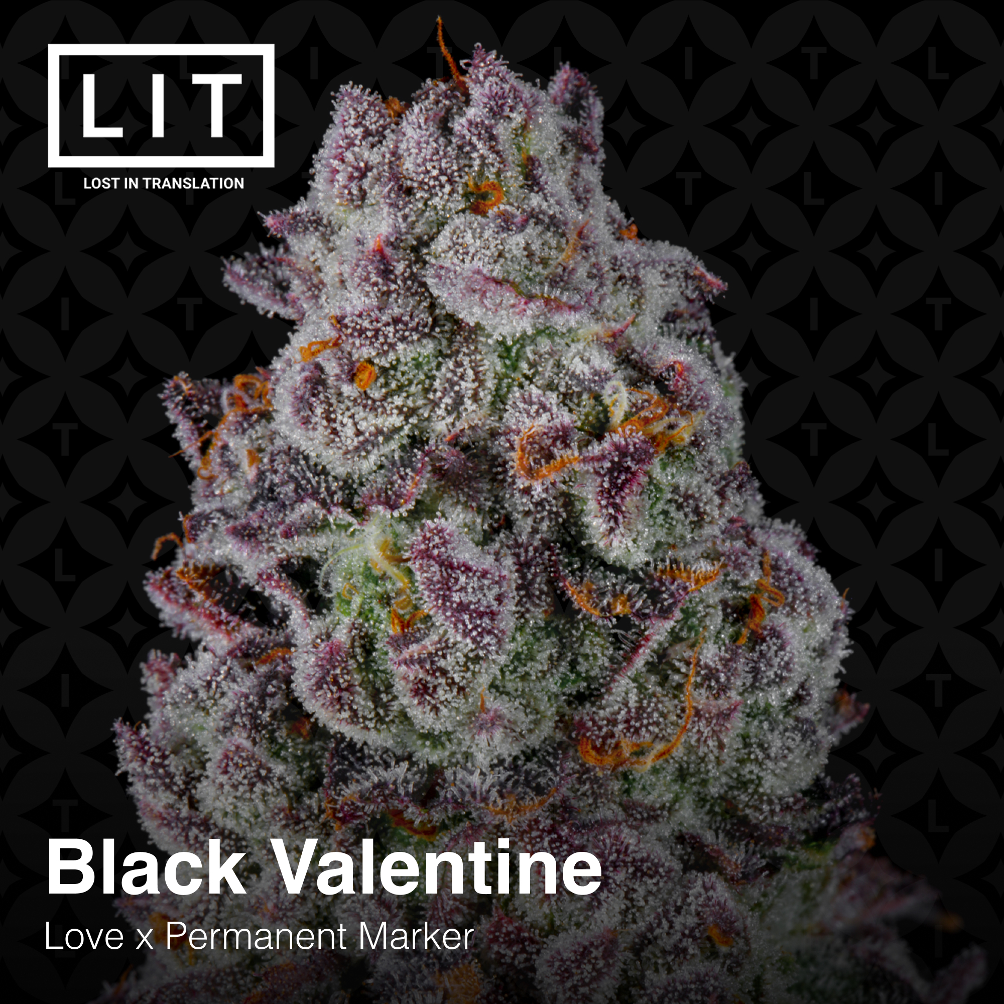 Black Valentine
