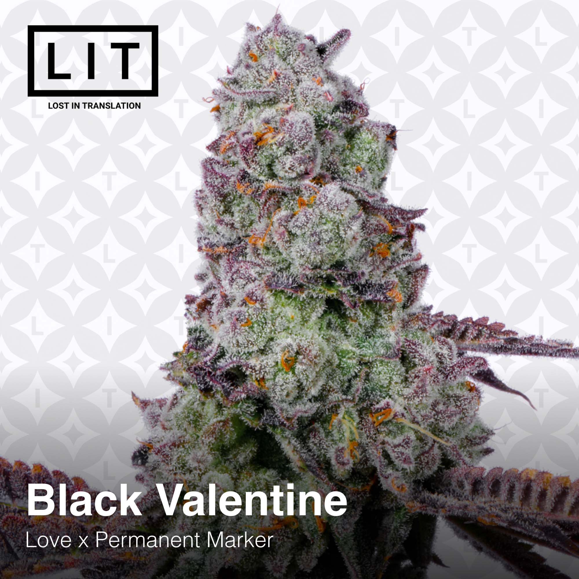 Black Valentine - Image 3