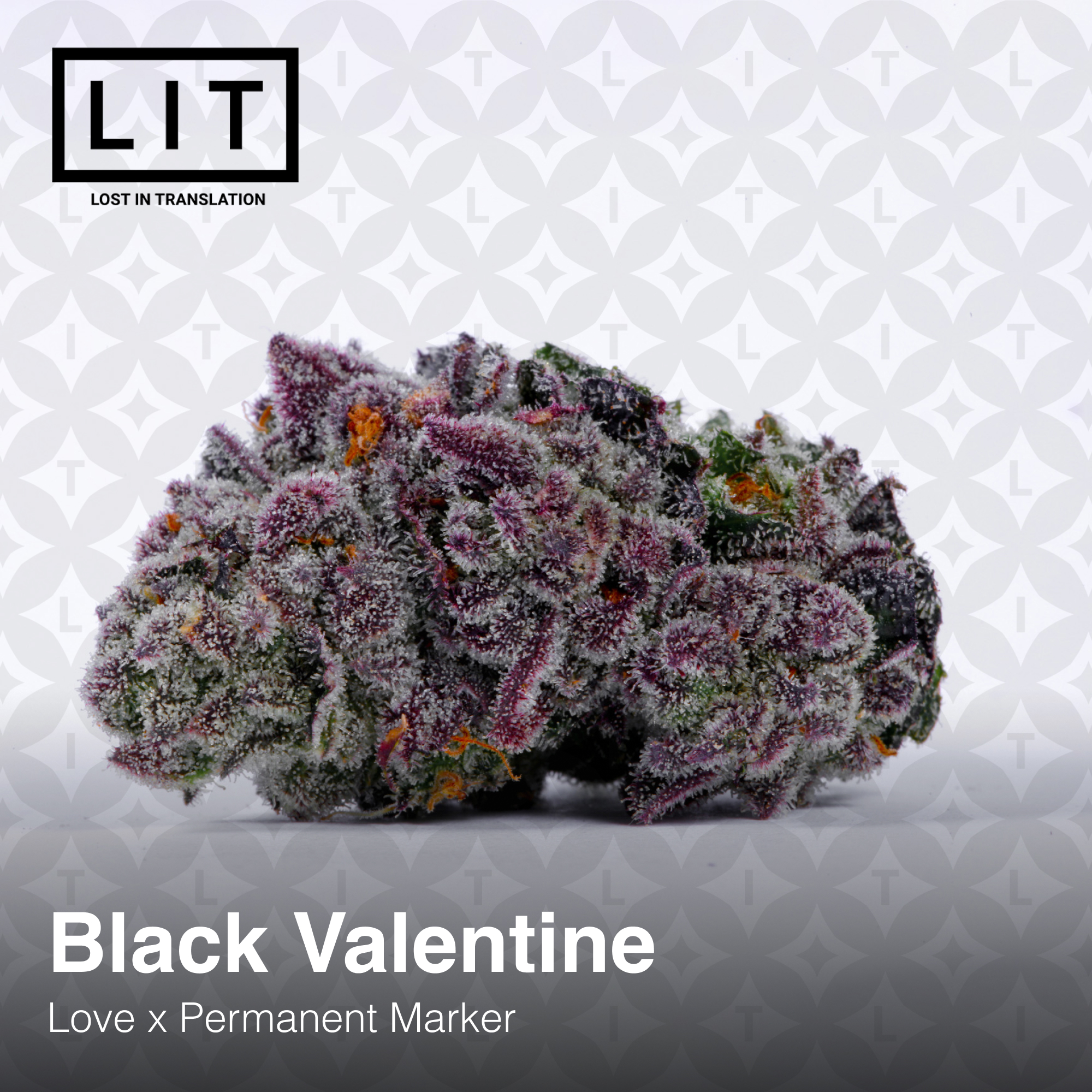 Black Valentine - Image 4