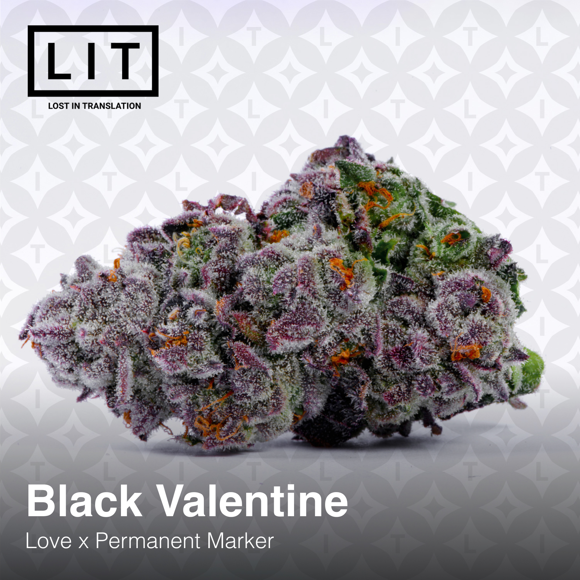 Black Valentine - Image 5