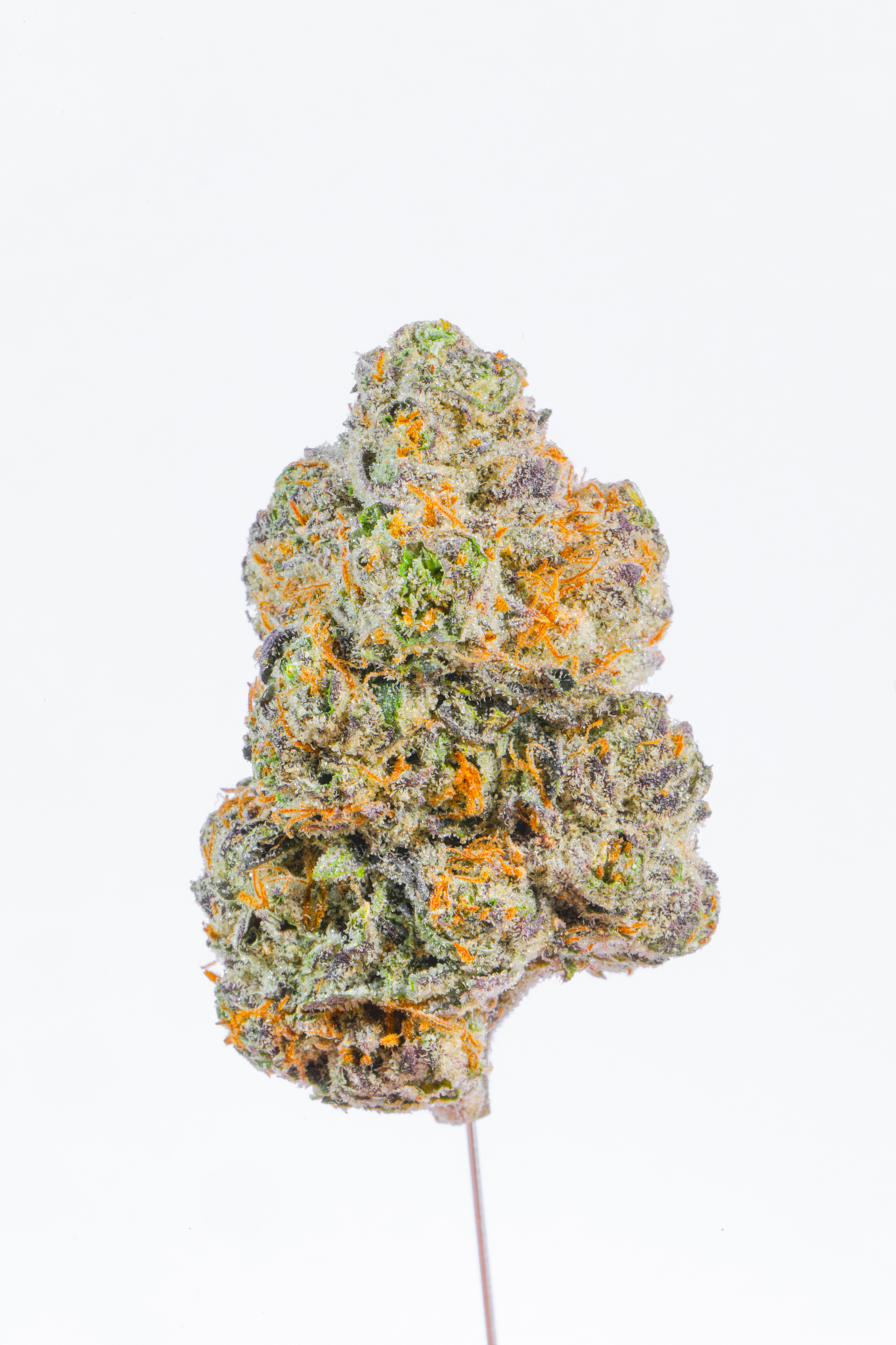 Black Runtz THCA Flower - Image 2