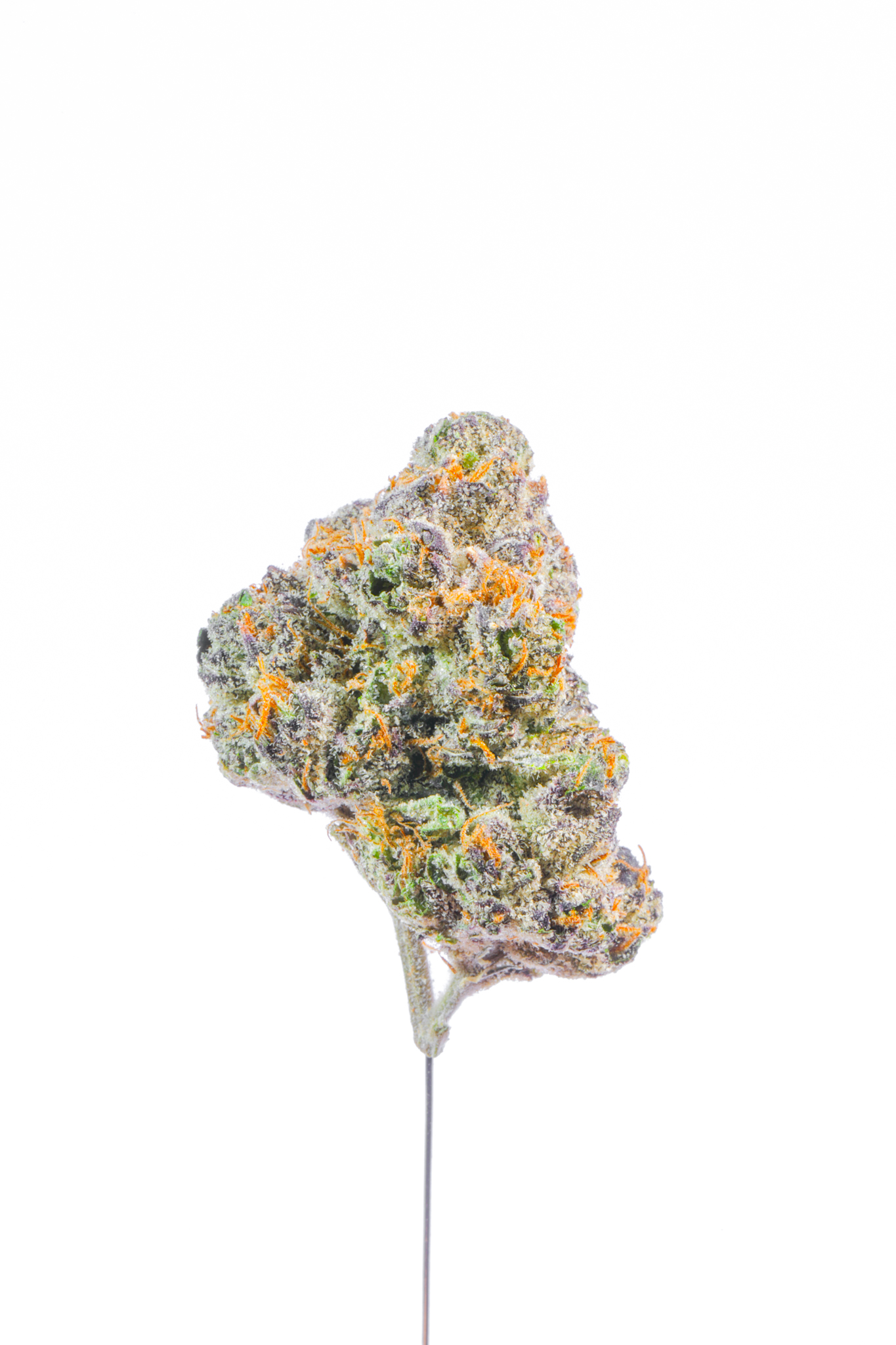 Black Runtz THCA Flower - Image 4