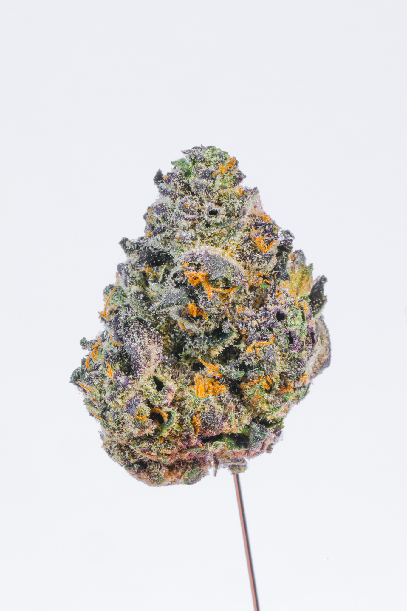 Zealousy THCA Flower - Image 3