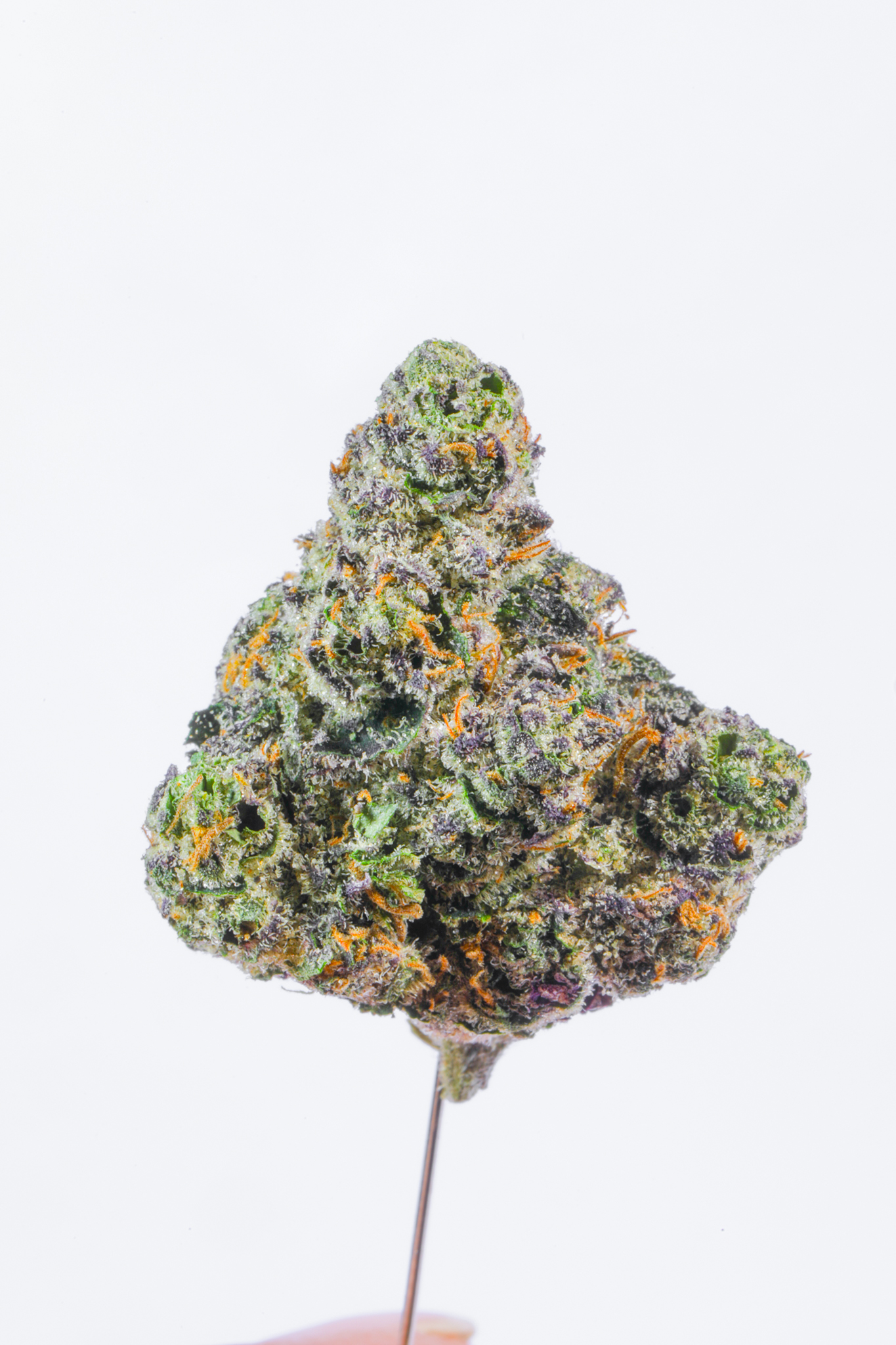 Zealousy THCA Flower - Image 5