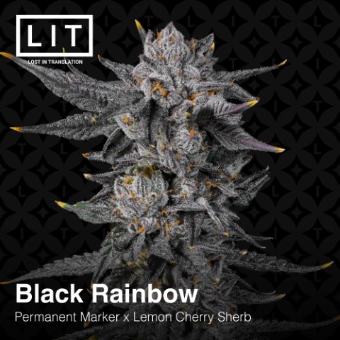 Black Rainbow - Image 2
