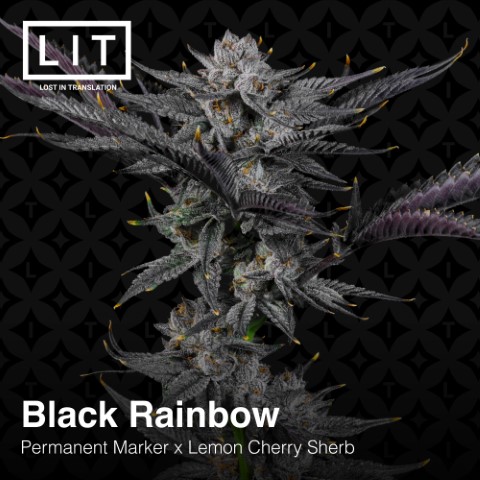 Black Rainbow