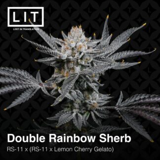 Double Rainbow Sherb
