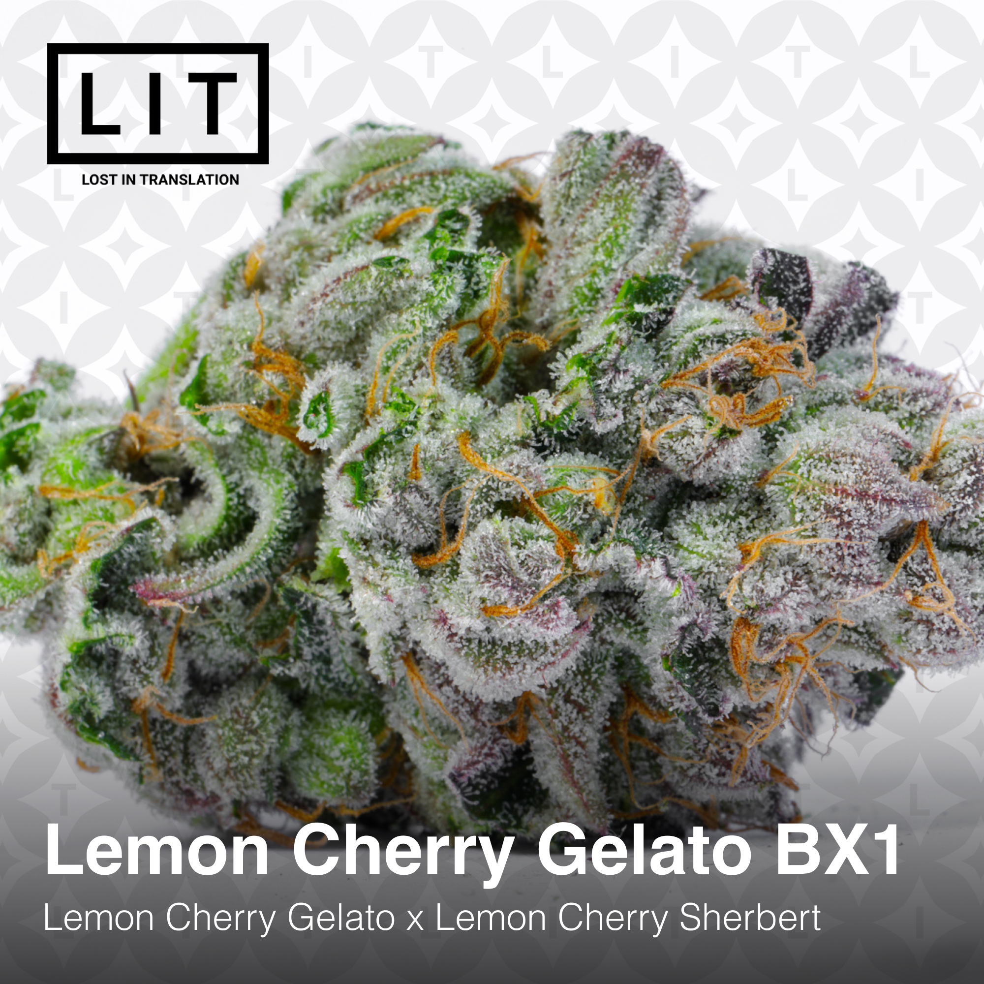 Lemon Cherry Gelato BX1 - Image 2