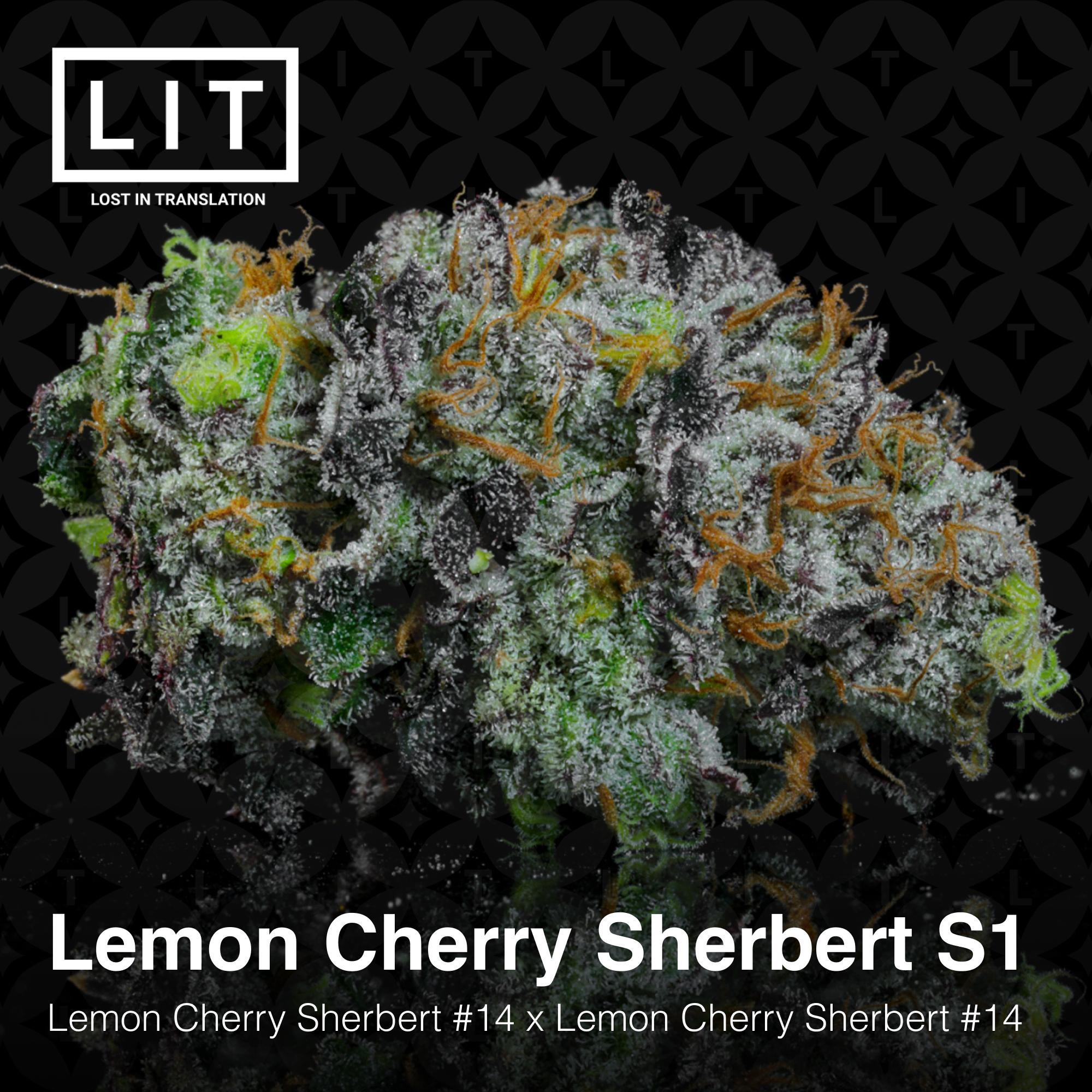 Lemon Cherry Sherbert S1 - Image 3
