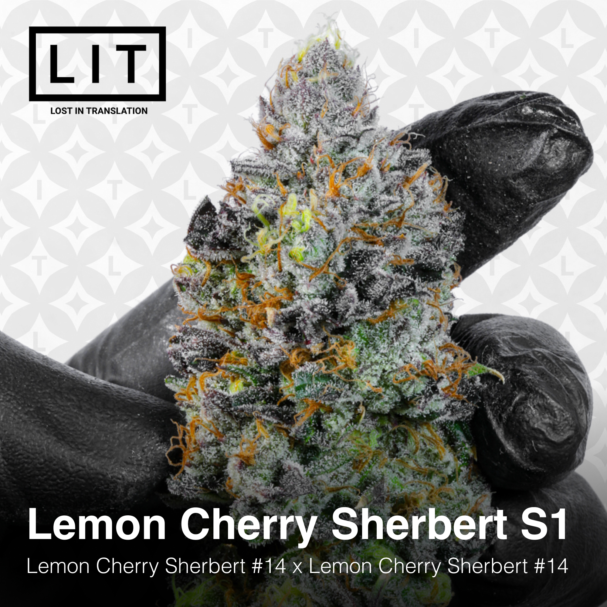 Lemon Cherry Sherbert S1 - Image 5