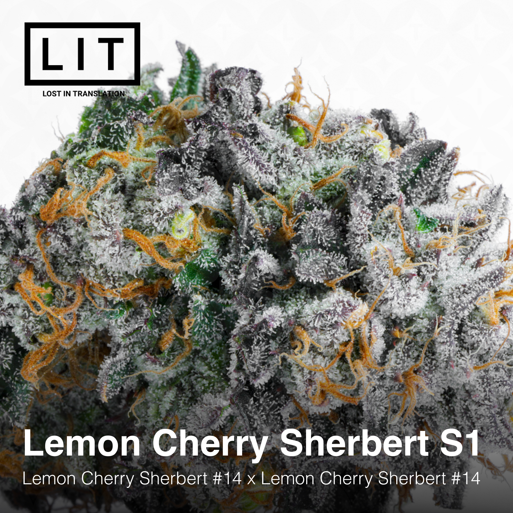 Lemon Cherry Sherbert S1 - Image 2