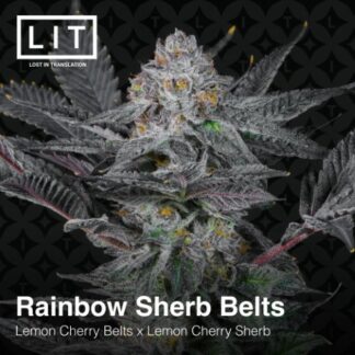 Rainbow Sherb Belts