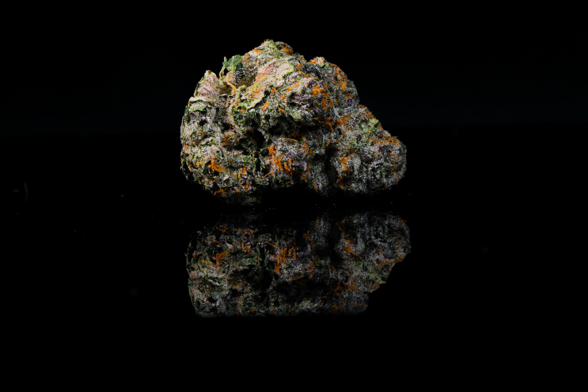 Gelato #41 THCA Flower - Image 3