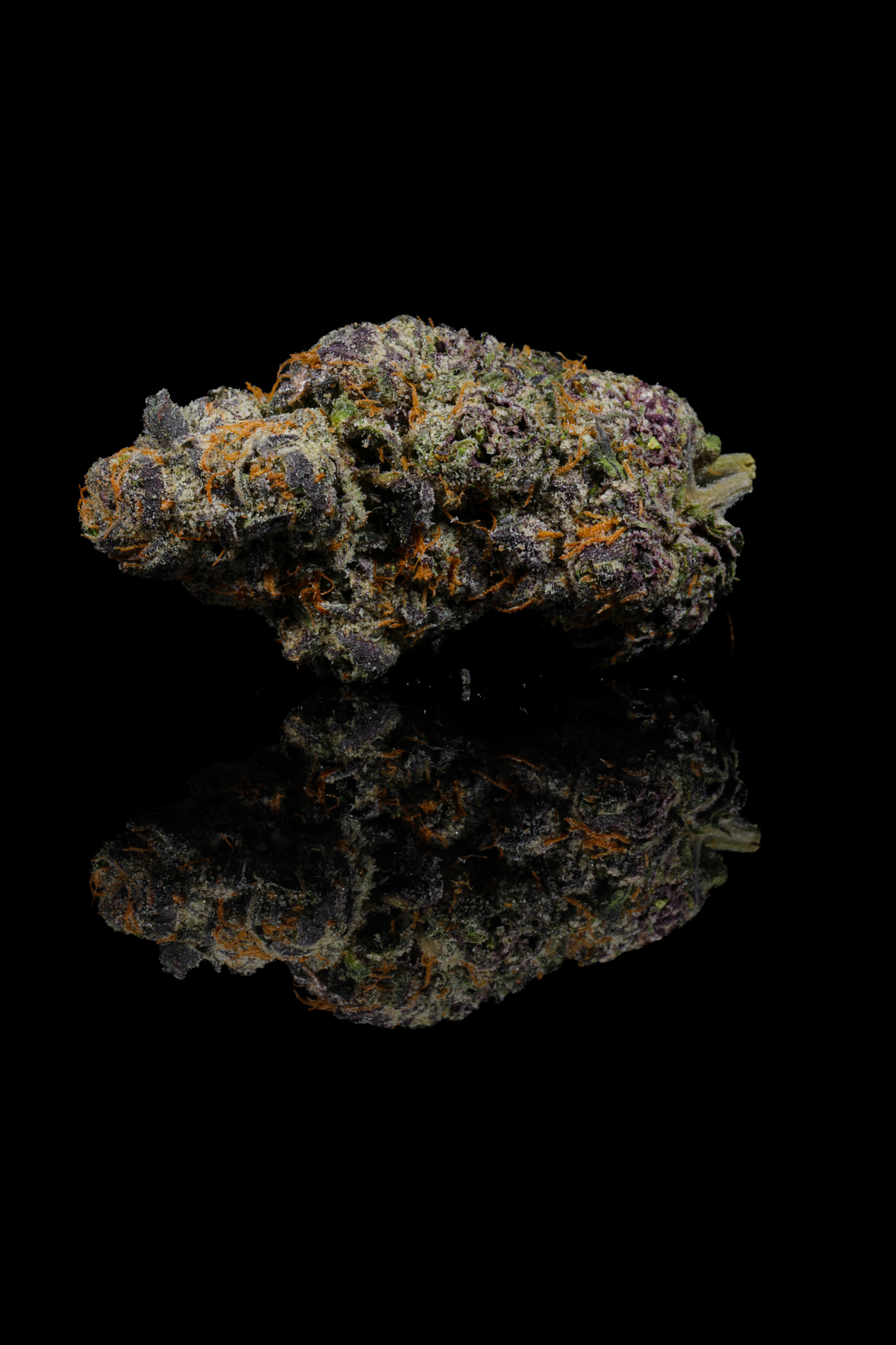 Blue Nerds THCA Flower - Image 5