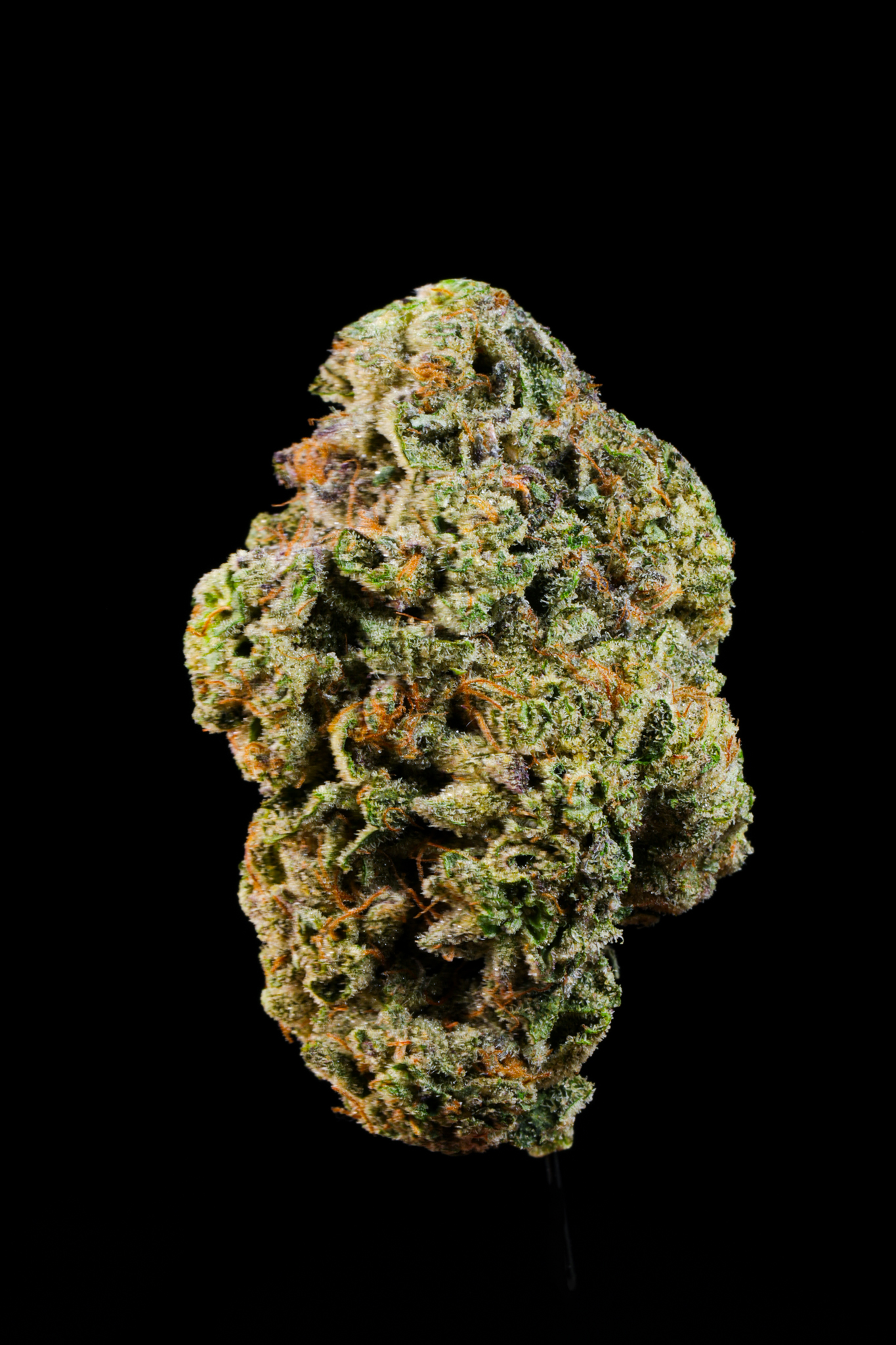 Tropical Runtz THCA Flower - Image 4